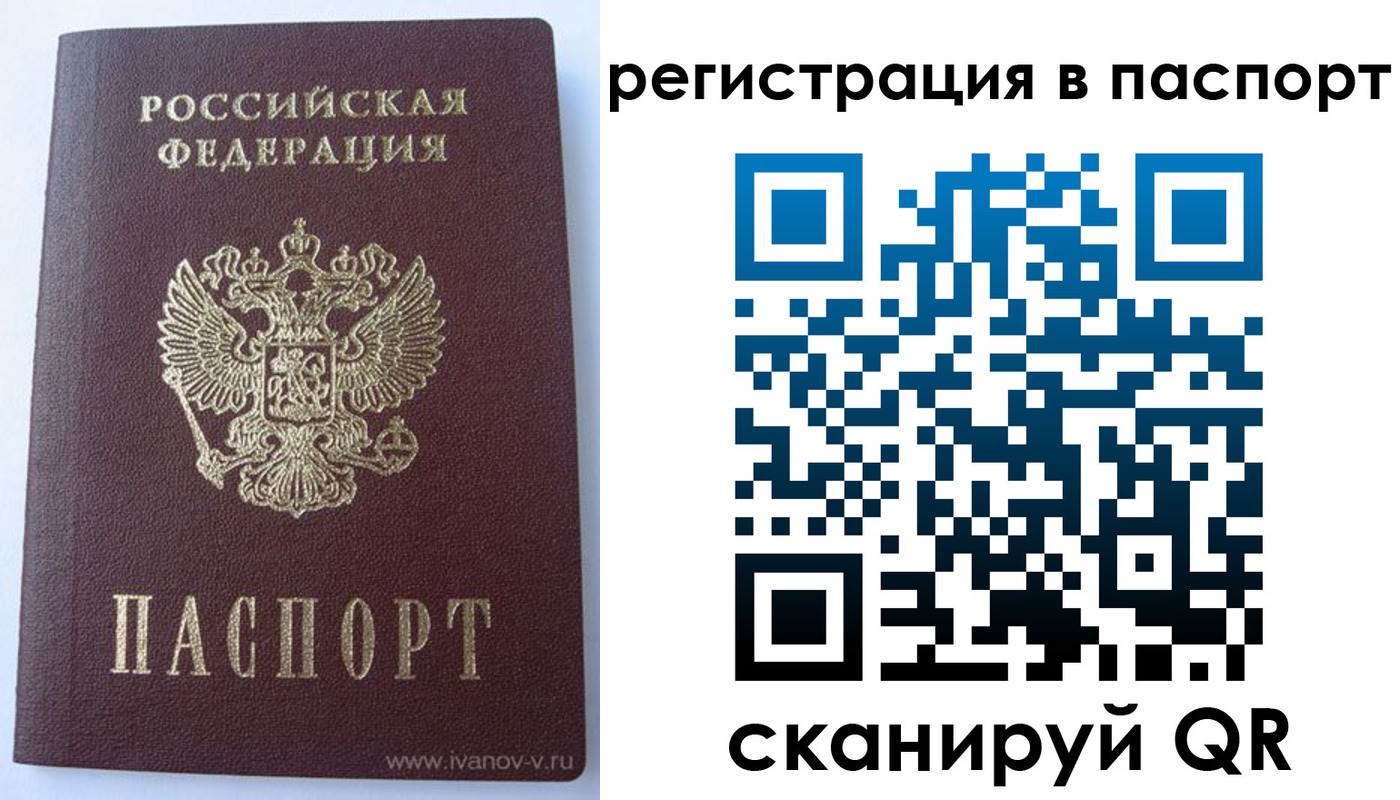 прописка поиск в Ингушетии